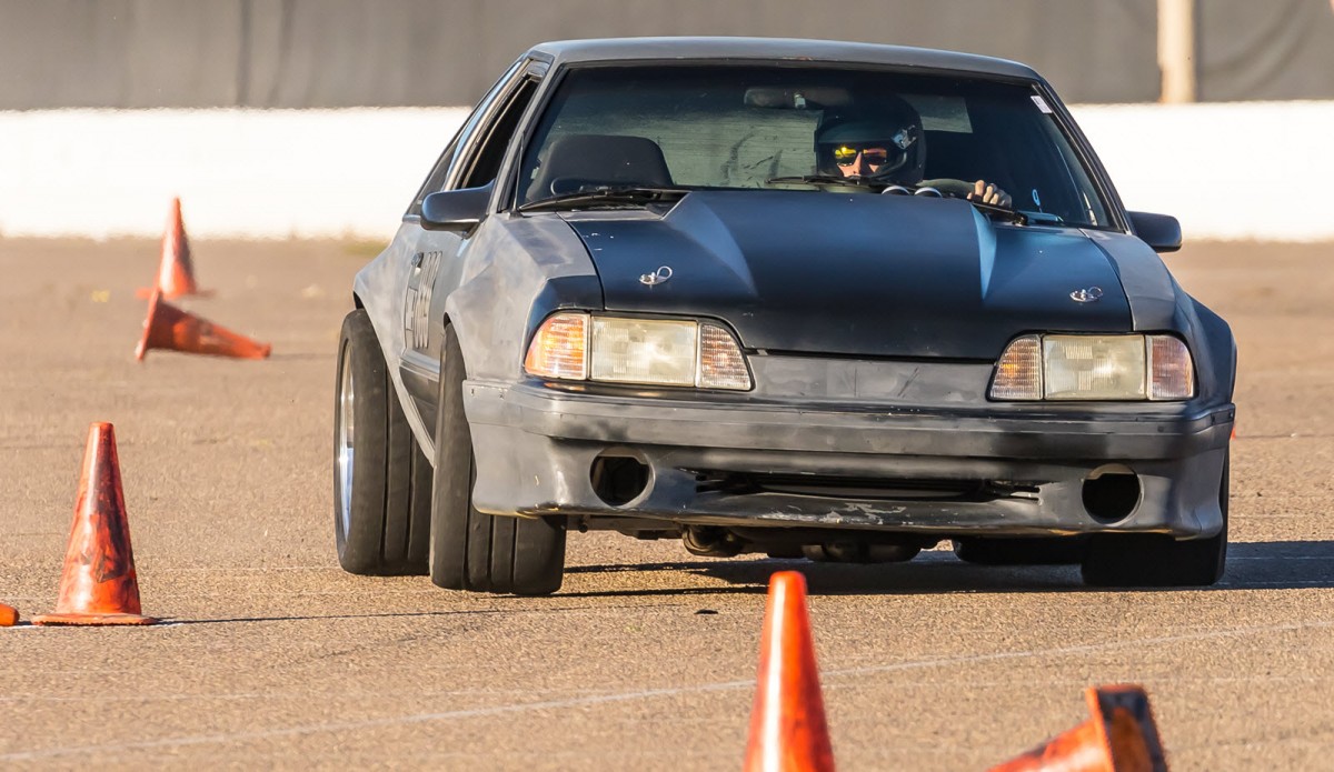 Tiger racing fox hotsell body fender flares